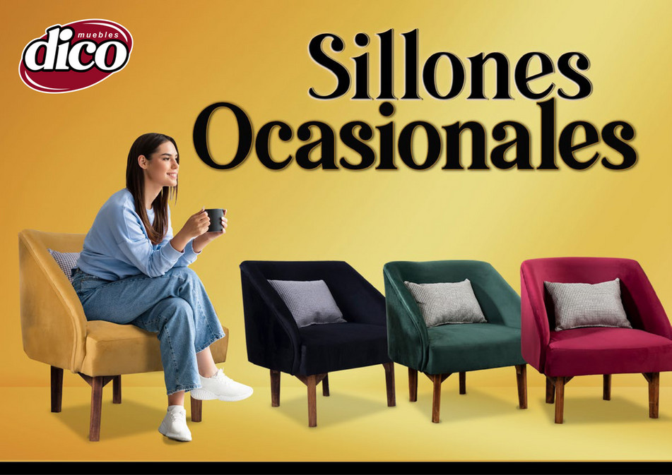 MUEBLES DICO sillones ocasionales norte 2023 Página 1