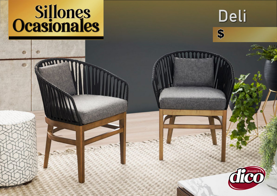 MUEBLES DICO sillones ocasionales bajio 2023 Página 2